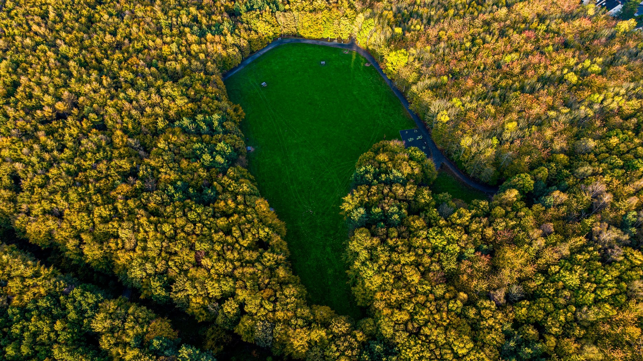 CLM Forêt d'Ifs (9)